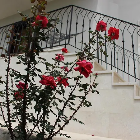 Ayakli Goel Evleri Villa Muğla
