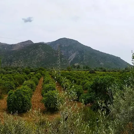Ayakli Goel Evleri * Muğla