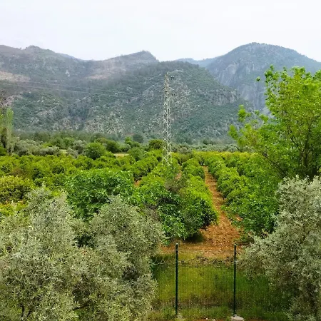 Villa Ayakli Goel Evleri Muğla